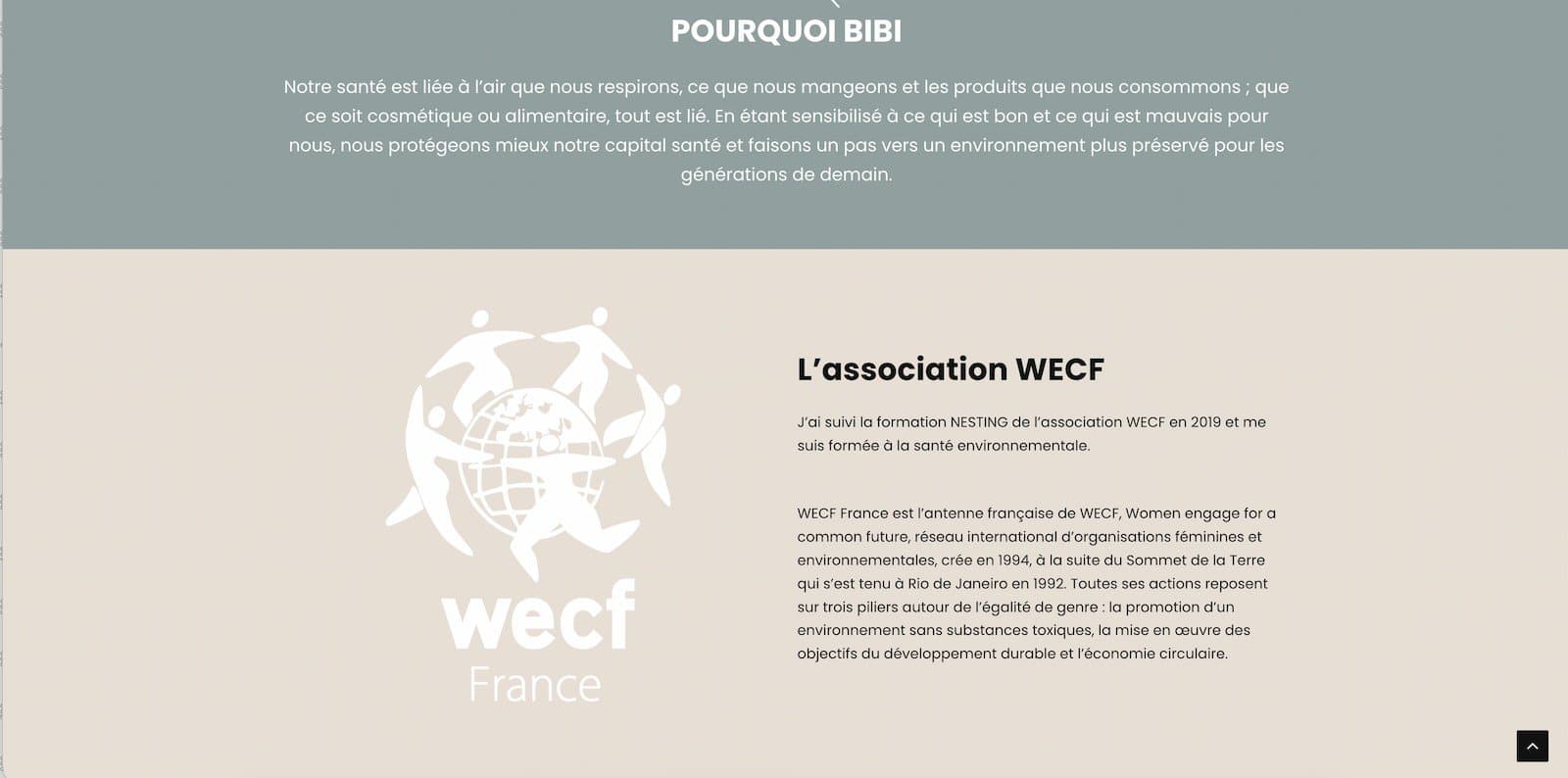 Bibi l'a fait - image 3
